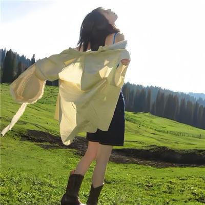 宝石宠物电影 甜品舞公主