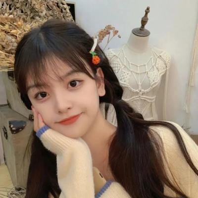 南非三明治(电影)